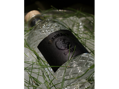 盆栽から、香りの一滴へ。TRADMAN’S BONSAI、“松葉”を蒸溜したクラフトジンを新発売