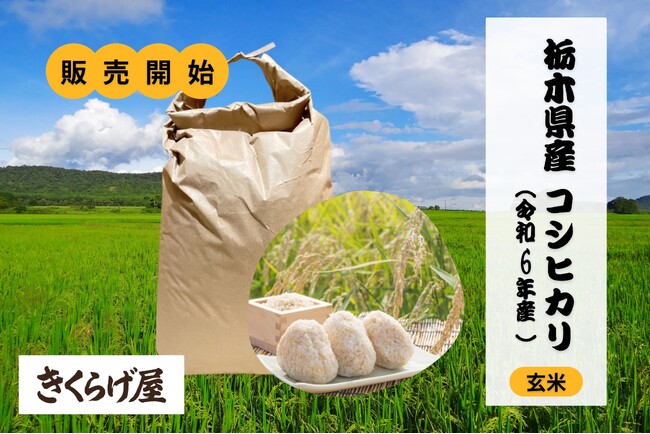 24日15:00まで限定セール7,840→7,340　群馬県米10kg　令和5年 24日15:00まで限定セール7,840→7,340 群馬県米10kg 令和5年
