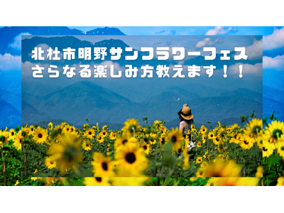 夏本番 好評開催中 いつ行っても満開のひまわり　「北杜市明野サンフラワーフェス」