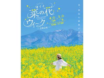 ゴールデンウィークの新観光スポット誕生！「ほくと菜の花ウィーク2026」初開催