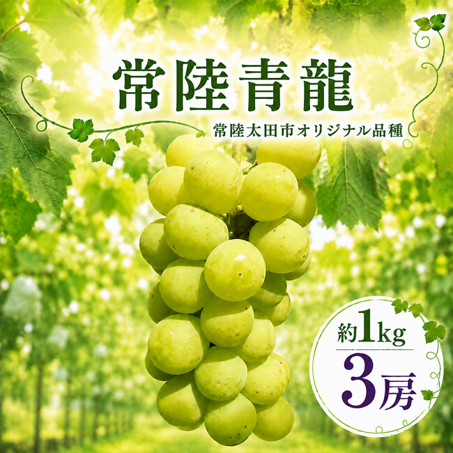 【茨城県常陸太田市】ふるさと納税に常陸太田市オリジナル品種のぶどう「常陸青龍（ひたちせいりゅう）」が登場！
