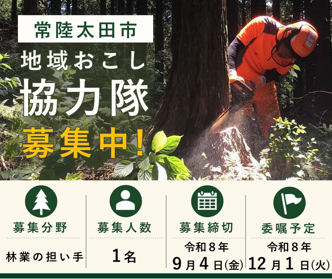 【茨城県常陸太田市】林業で活躍できる「地域おこし協力隊」を募集しています（令和8年度）
