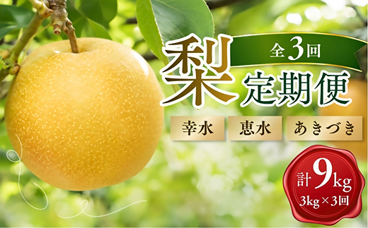 【茨城県常陸太田市】梨の定期便 新登場 & ぶどうの台風被害支援 実施中!
