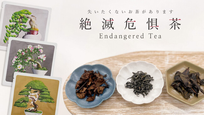 絶滅危惧茶(R)︎（Endangered Tea）を元旦より発売開始 ホテル椿山荘東京にて初期導入店として取り扱い開始のメイン画像