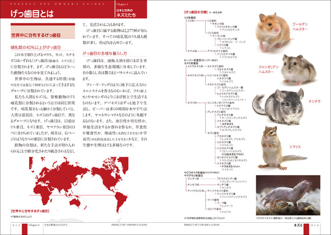 マウス ラット スナネズミ飼育書の決定版 可愛い写真やイラスト満載で初心者も読みやすい一冊 マピオンニュース