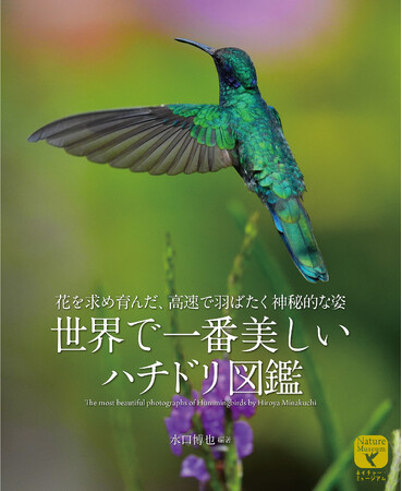 宝石のような色彩と自由自在な飛翔で人気の高いハチドリの魅力を、豊富な観察例と精緻な写真、新たな生態研究をあわせて紹介する。