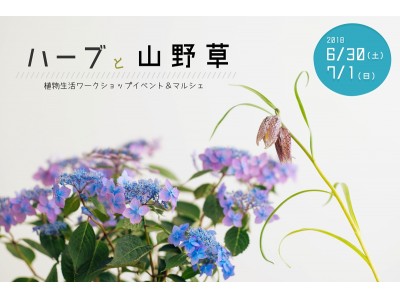 【月刊誌フローリスト主催】植物生活ワークショップ＆マルシェ「ハーブと山野草」開催！＜入場無料＞＠東京・神田