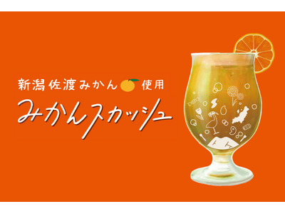 【新商品】希少な佐渡産みかんを使用した『新潟みかんスカッシュシロップ』発売