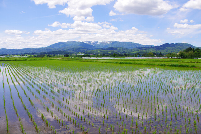バイエル クロップサイエンス株式会社が販売する一部製品の当社による販売開始について【クミアイ化学】