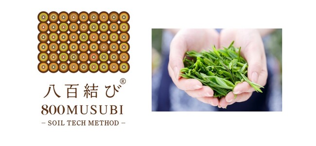 日本茶の最高峰「玉露」を有機栽培でさらなる高みへ挑戦！　土のマーケティング会社 壌結合同会社と栽培・製茶のプロフェッショナルOosumi Orgnic Tea Companyが業務提携