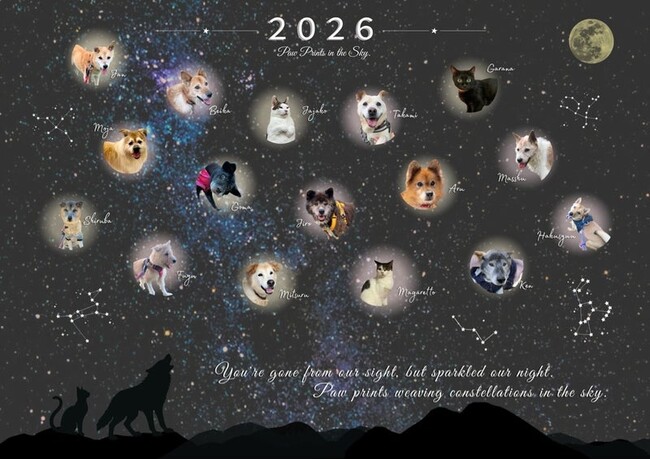 認定NPO法人CAPIN、2026年チャリティーカレンダー発売のお知らせ