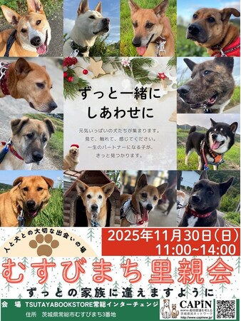 11月30日（日）「むすびまち里親会」開催！