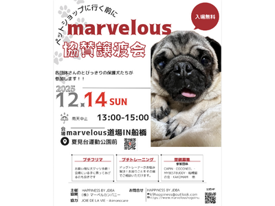 12��14���umarvelous���^���n��v��CAPIN���Q��