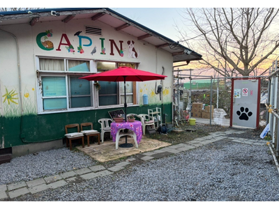 茨城県の犬猫殺処分ゼロを支える拠点が危機