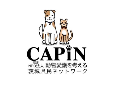 認定NPO法人CAPIN、寄付ページを刷新