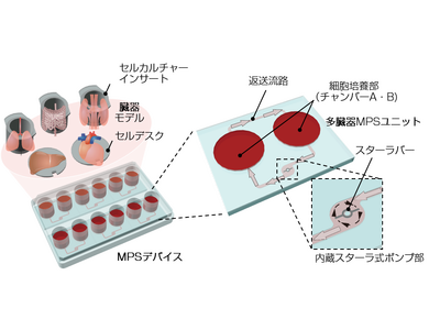 住友ベークライト 簡便な多臓器連結培養を可能にしたMPSデバイスを開発