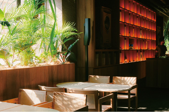 NUCHI by WPU、沖縄・那覇牧志に誕生 - 沖縄の自然や大地から着想を得たカクテルと、ROOM 303 RADIOがセレクトしたレコードが流れるミュージックバーが新たな夜を刻む