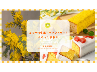 贈り物にミモザを。黄色が映えるミモザモチーフのパウンドケーキ、生花がふるさと納税限定で登場、大阪府箕面市