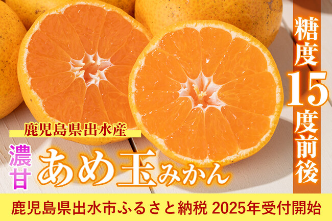 糖度15度前後!全国ミカン選手権で3年連続の入賞歴のある「濃甘あめ玉みかん」鹿児島県出水市 のふるさと納税で受付開始