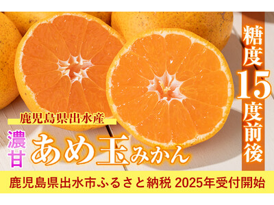 糖度15度前後！全国ミカン選手権で3年連続の入賞歴のある「濃甘あめ玉みかん」鹿児島県出水市 のふるさと納税で受付開始