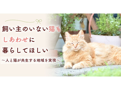 ～人と猫が共生する地域を実現～　鹿児島県・霧島市 「飼い主のない猫」支援プロジェクト第3弾を開始