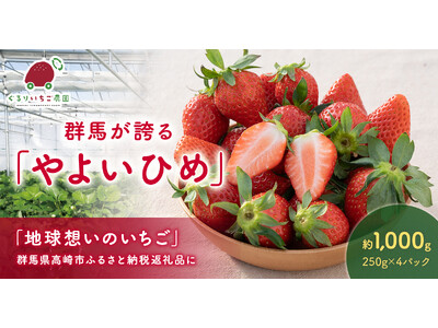 mino-lioの「地球想いのいちご農園」のいちごが群馬県高崎市ふるさと納税返礼品として提供開始