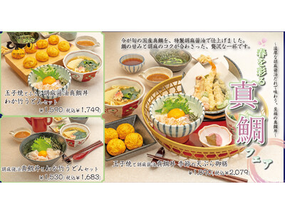 【玉子焼・お出汁ひまわり】3/11(水)～「春を彩る真鯛フェア」を開催