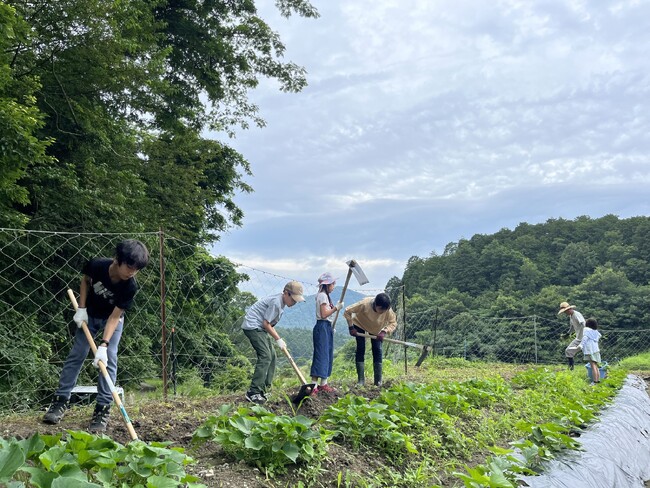 兵庫県川西市の里山で、2024年5月8日から貸農園を始めます＜兵庫県川西市＞