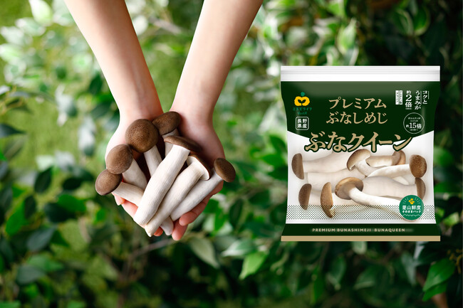 年間2,000t以上の使用済培地を活用した、サステナブルで大粒のプレミアムぶなしめじ　ミスズライフの『ぶなクイーン』がパッケージをリニューアル