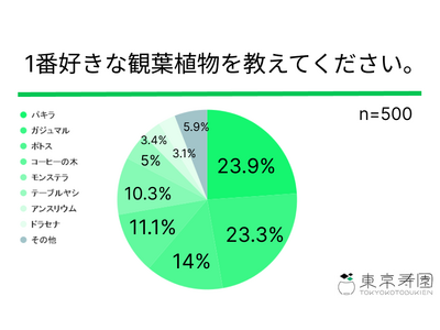 好きな観葉植物をアンケートし「パキラ」「ガジュマル」と回答した方は47.2%！