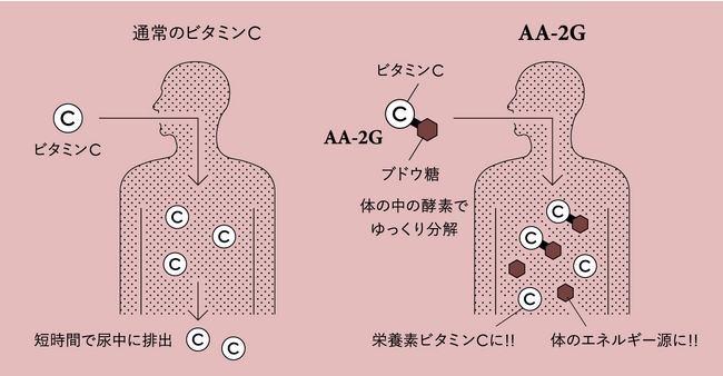 <5/29(月)>ビタミンCの欠点を解決した安定・持続型ビタミンCの先駆者、アスコルバイオ研究所がCI、商品、ウェブサイトをリニューアルのメイン画像