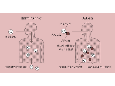 ビタミンCの欠点を解決した安定・持続型ビタミンCの先駆者、アスコルバイオ研究所がCI、商品、ウェブサイトをリニューアル