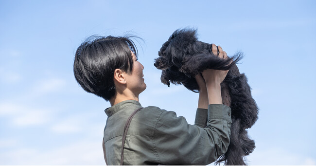 長野市のトリミングサロン「sora to kaze」がシニア保護犬・要介護犬 ...