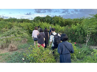 薬草研究家・織田剛、出身地の宮古島で自然と文化に触れるリトリートツアーを開催