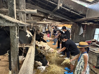 【取材可能】「グリーンコープミルク開設1周年記念」びん牛乳工場見学・酪農体験ツアー