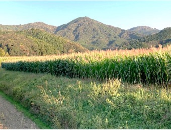若手生産者と共に飼料国産化の現場の視察・研修会を開催