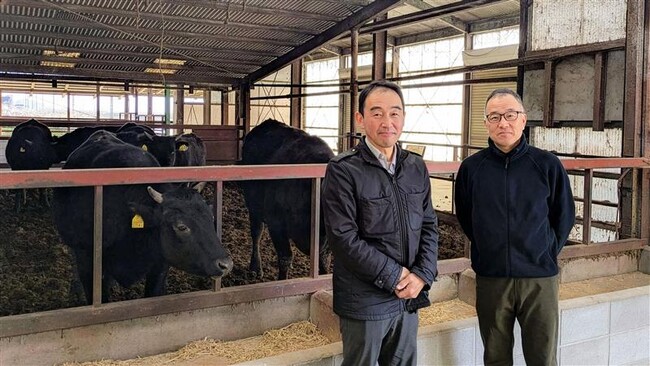 近江牛を厳選飼育する「岡喜牧場」、牛の起立困難予防声かけAIサービス「BUJIDAS」を導入