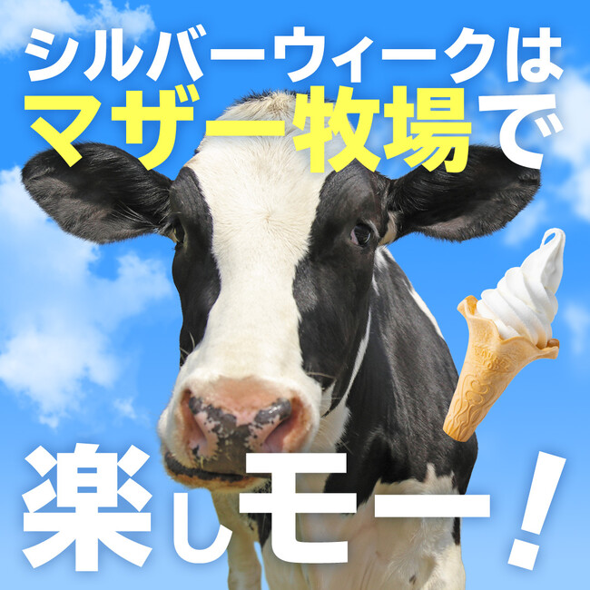 SW早朝限定】迫力満点のイベント「ひつじの大放牧」5日間限定開催