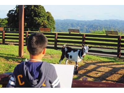 【芸術の秋】参加小学生は、マザー牧場入場料が“無料”になる嬉しい特典も！「第23回 秋のこども写生大会」...