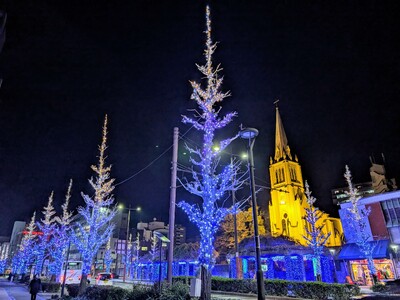 久留米のまちを照らす冬の光が今年も点灯！ 学生とともに創る「第21回くるめ光の祭典 ほとめきファンタジー」