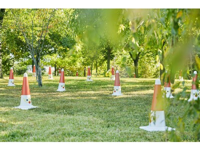 各務原 学びの森のクリスマス『Noël』(ノエル) 。マルシェ、ワークショップ、夜の光の遊びなど、ファミリーで楽しめるクリスマスイベントを初開催。