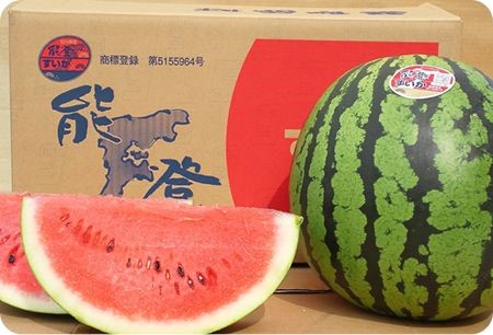 能登半島地震の寄附金を活用して学校給食で、能登の食材を提供します！
