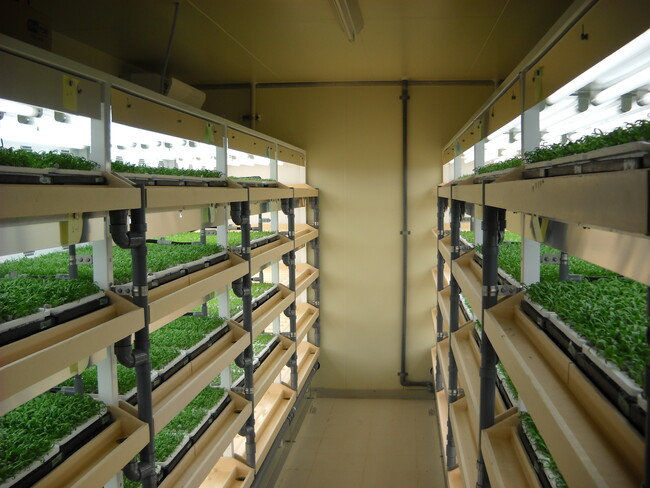 三菱ケミカルアクア・ソリューションズ株式会社からの「植物工場事業」引継ぎに関するお知らせ