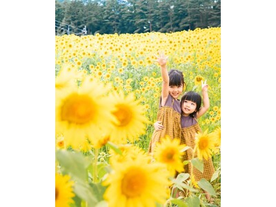 【飛騨高山・岐阜県高山市】アルコピアひまわり園が開園します