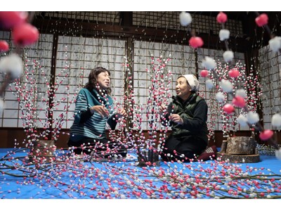 【飛騨高山・岐阜県高山市】飛騨の冬を彩る伝統の正月飾り「花もち」製作が最盛期