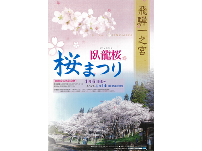 【岐阜県高山市】飛騨一之宮の名所「臥龍桜」で桜まつりを開催！