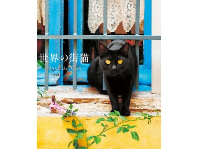 パリの街角から、地中海の離島まで。猫のいる街は美しい！『世界の街猫』発売