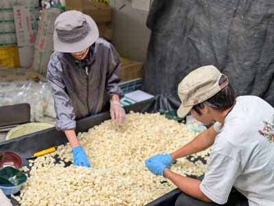 【徳島県鳴門市】「おてつたび」×「鳴門市」～「半農半X」推進シェアハウス事業～