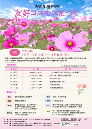 友好コスモスで秋を満喫 ！