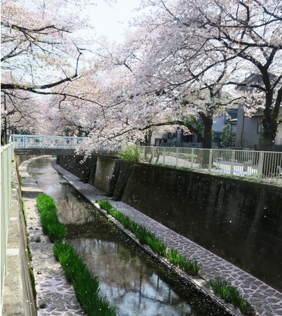 f w _ĉӂxoҕWI[fBV@